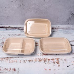 disposable food container - sugarcaneuare