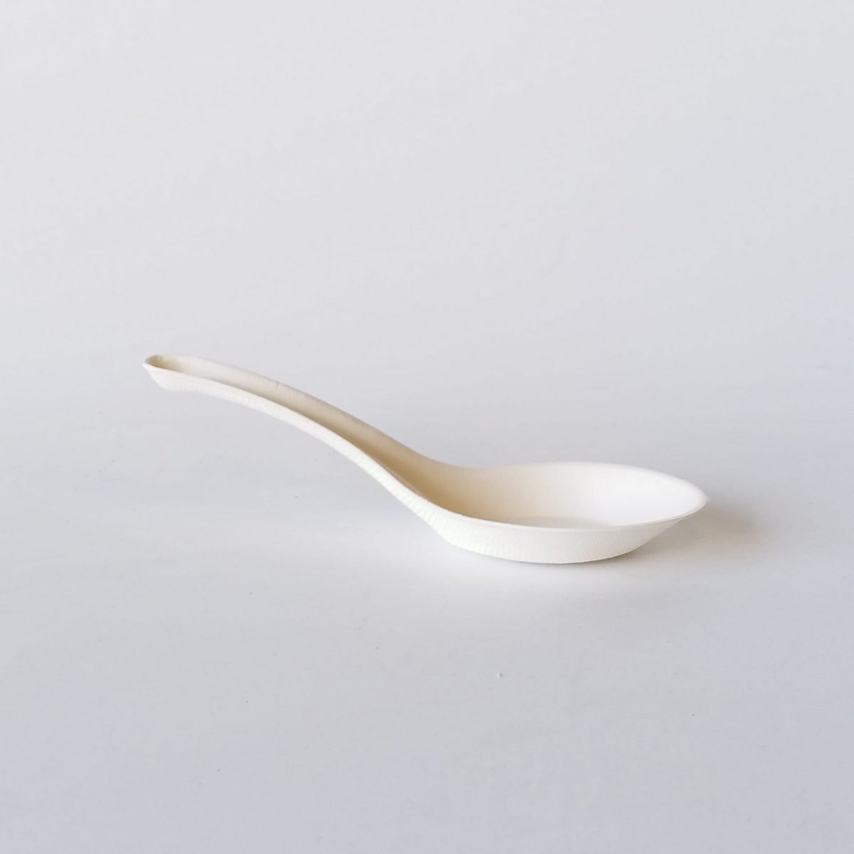 Sugarcane Chinese Spoon